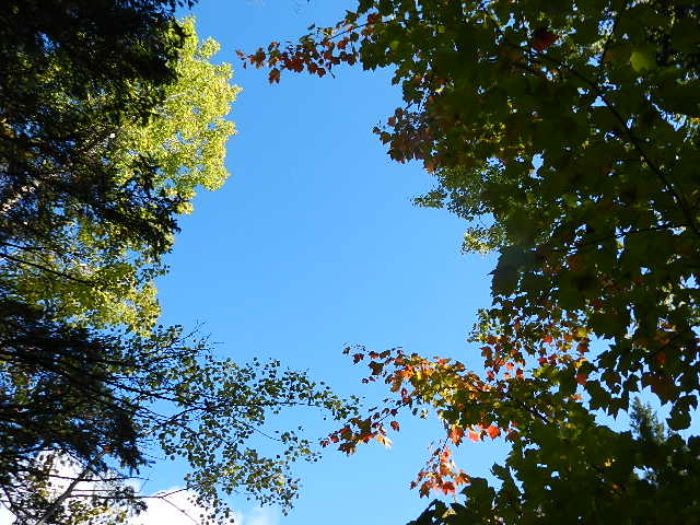 Blue Skies
