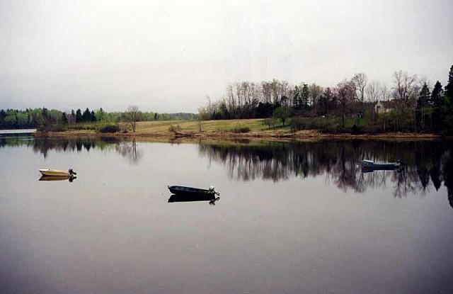 Wallace River