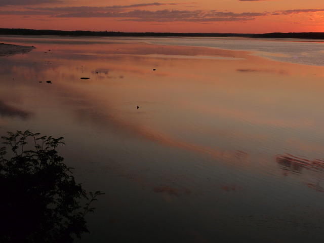 Reflections at Dusk