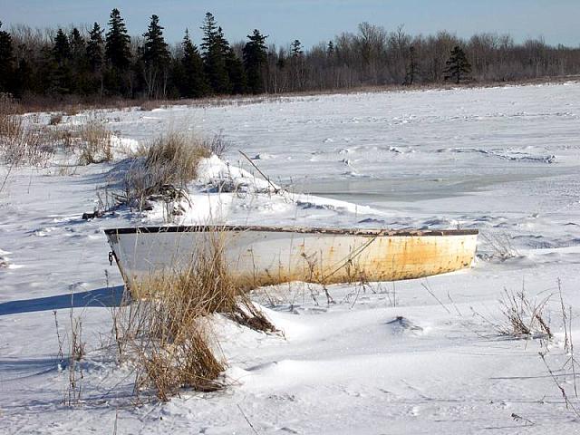 Winter Shoreline