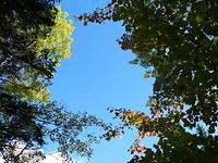 Blue Skies