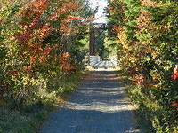 Fall Trail