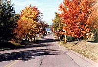 Fall Colours Street