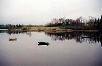Wallace River