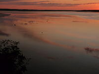 Reflections at Dusk