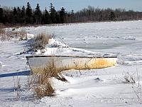 Winter Shoreline