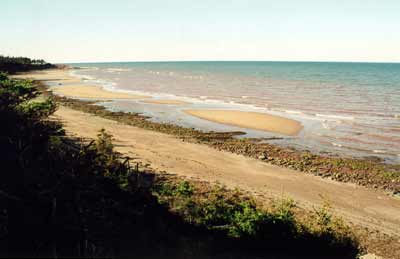 Picture4