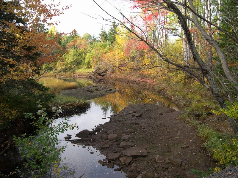 Stream in Fall